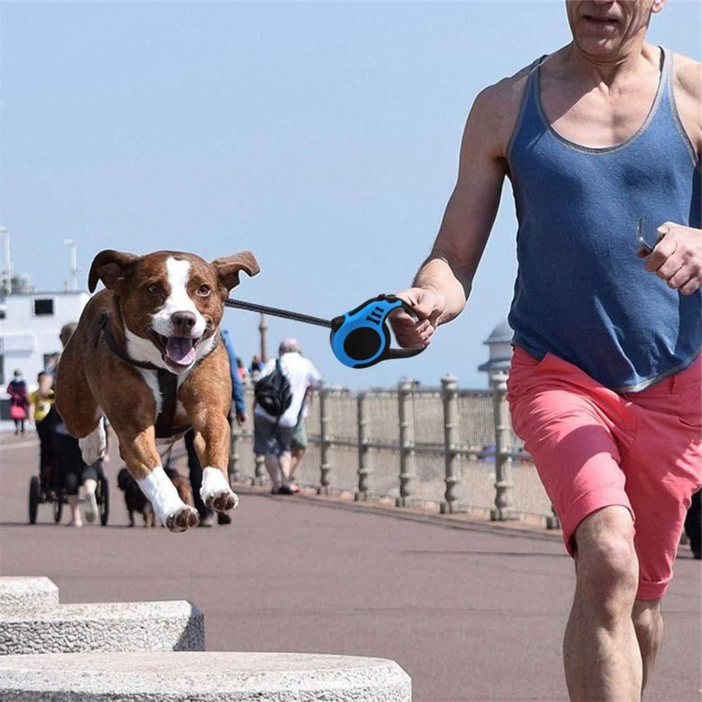 Dogesh 5m Retractable Strap Leash — Long Walking Lead for Dogs & Cats