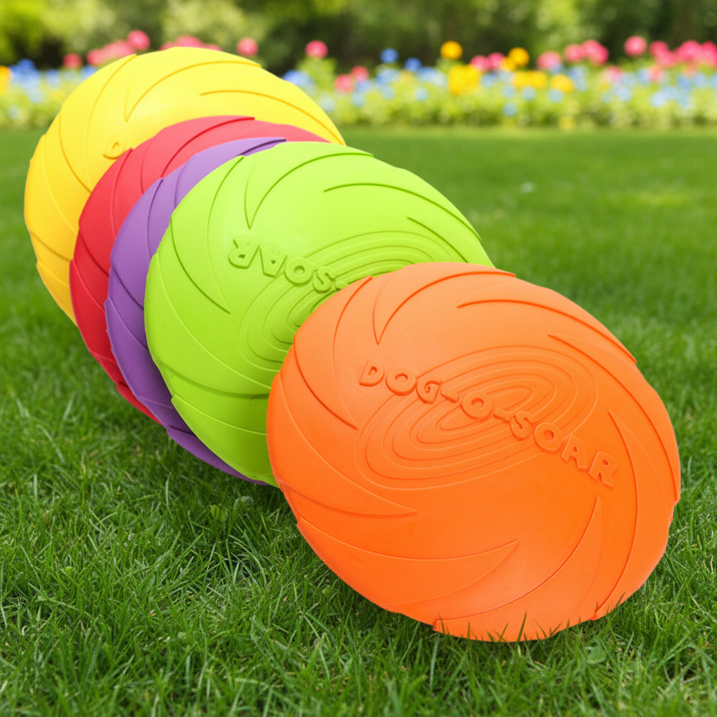 Dogesh Bite-Tough Training Toy