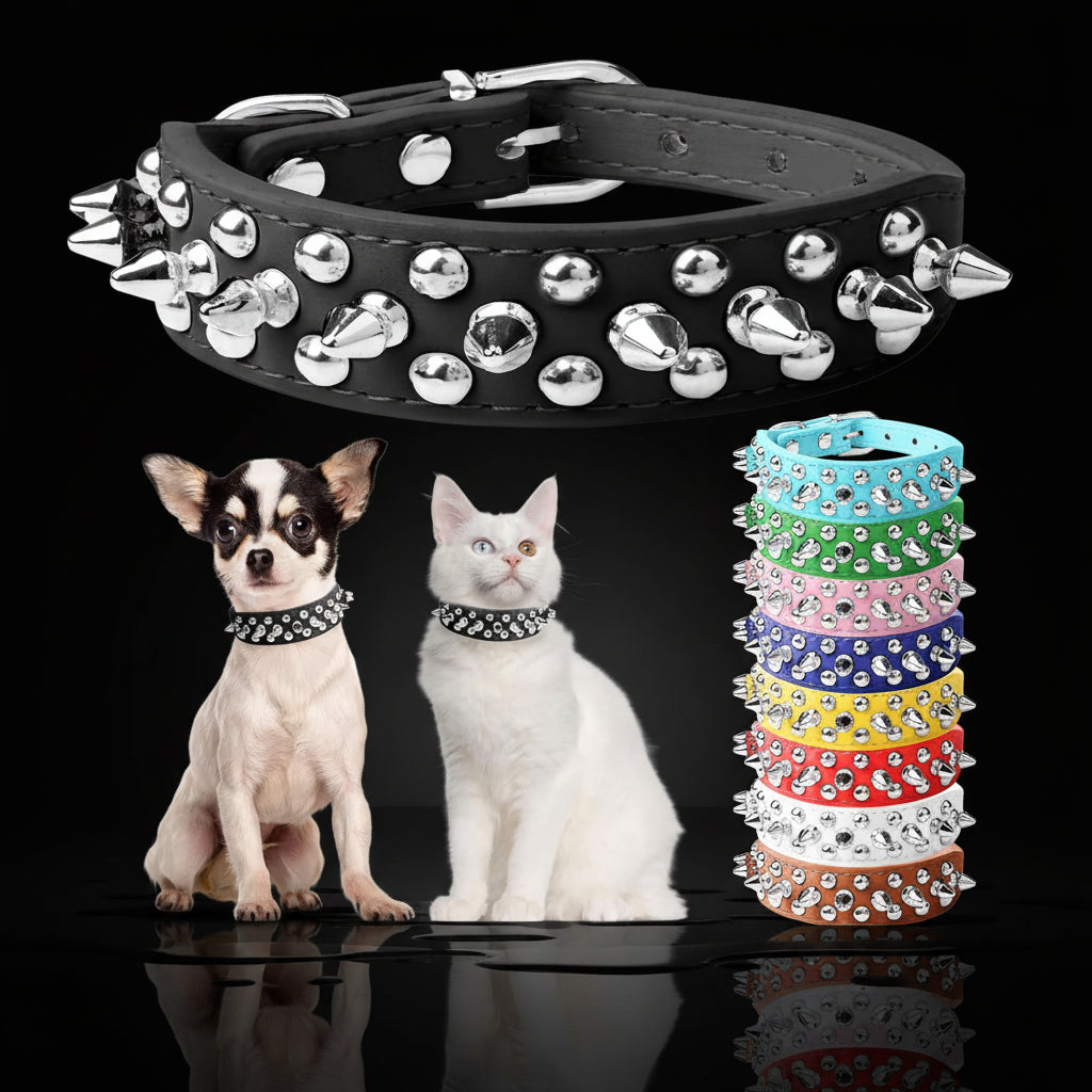 Dogesh Punk Spike Collar — Studded Leather Collar for Small & Medium Dogs